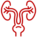 Urology